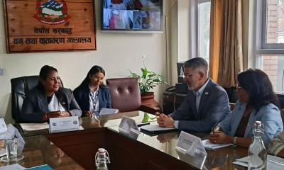  मन्त्री चौधरीसँग विश्व बैंकका देशीय निर्देशकको भेट 